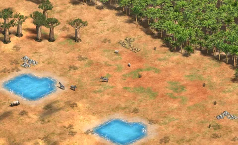 African Clearing in-game terrain