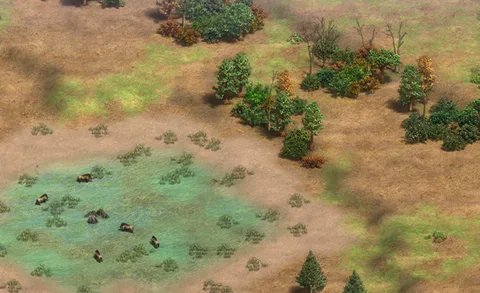 Border Dispute in-game terrain