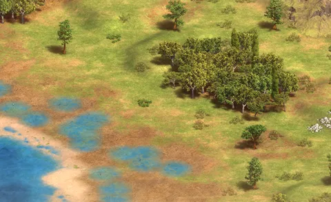 Dunesprings in-game terrain