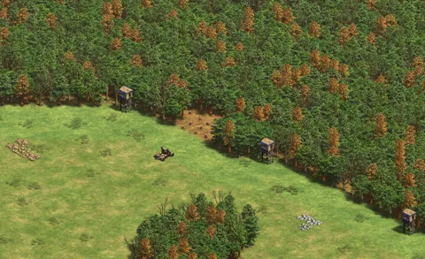 Michi in-game terrain