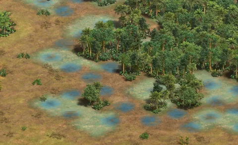 Morass in-game terrain