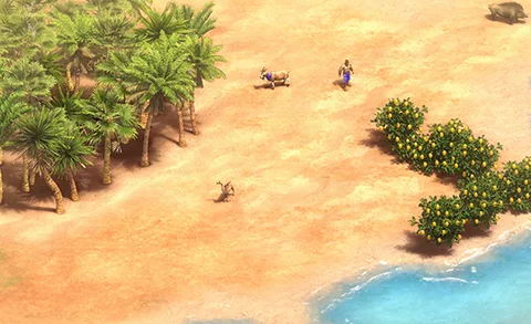 Nomad in-game terrain