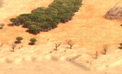 Sandrift in-game terrain