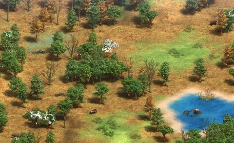Sherwood Forest in-game terrain