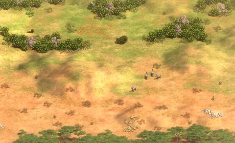 Shrubland in-game terrain