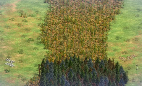 Snake Forest in-game terrain