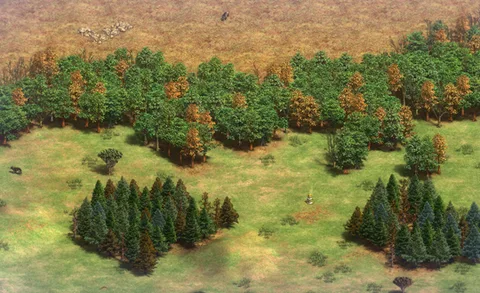 Forest Breach in-game terrain
