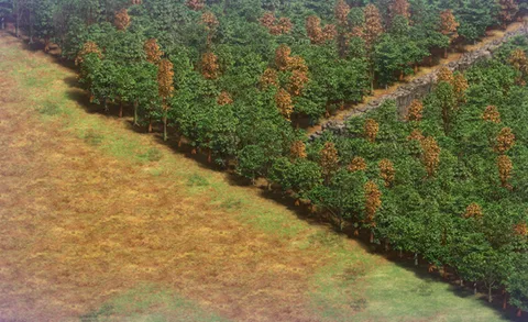Front Line in-game terrain
