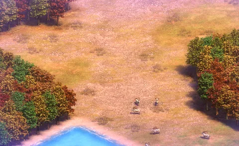 Twin Forests in-game terrain