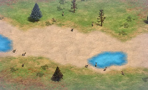 Valley in-game terrain