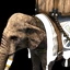 Elephant Archer