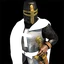 Teutonic Knight