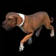 War Dog