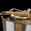 War Galley - Antiquity